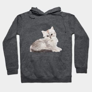 Cute little kitten Hoodie